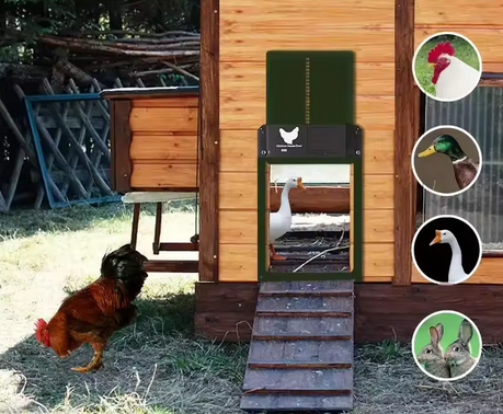 AVTOMATSKA VRATA ZA KOKOŠARNICO