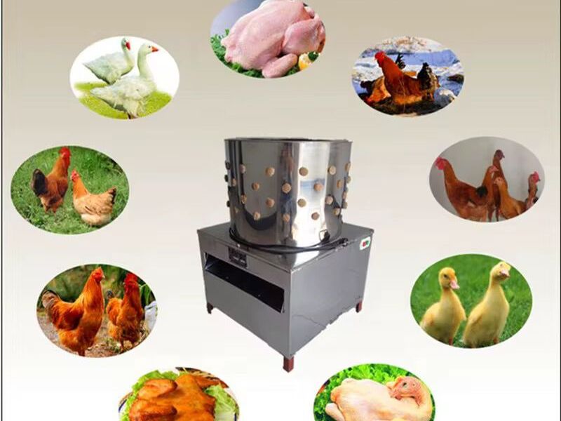 Električni stroj za puljenje perutnine