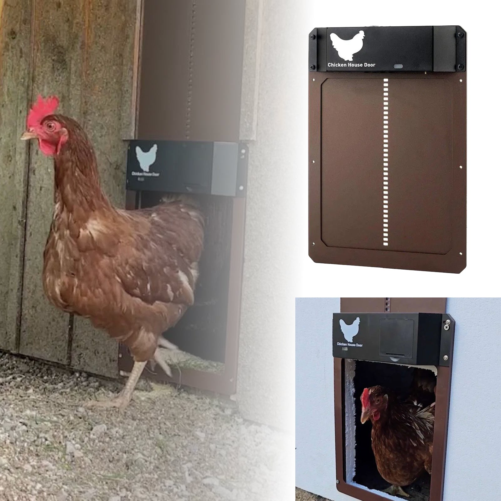 AVTOMATSKA VRATA ZA KOKOŠARNICO